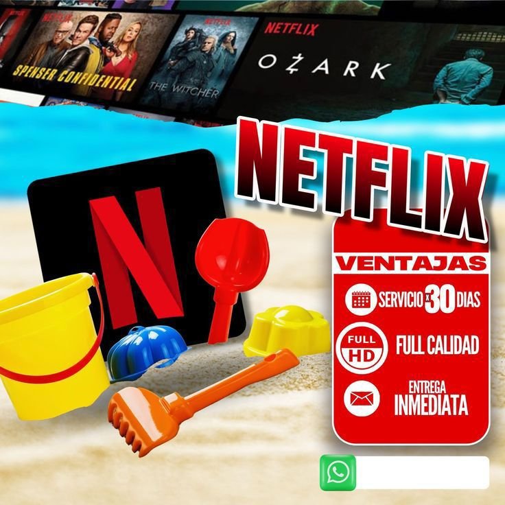 NETFLIX PERFIL